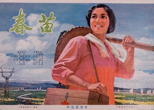 大学的毕业证和学位证证书编号一样吗